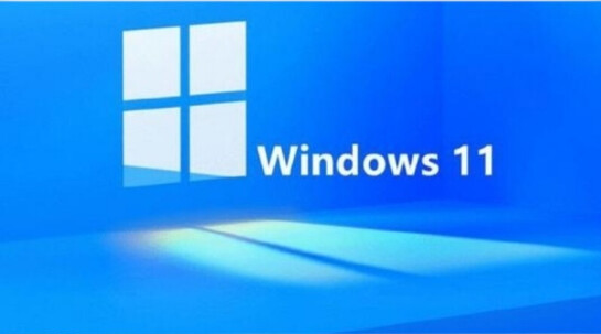 Windows11查找網絡mac地址步驟介紹