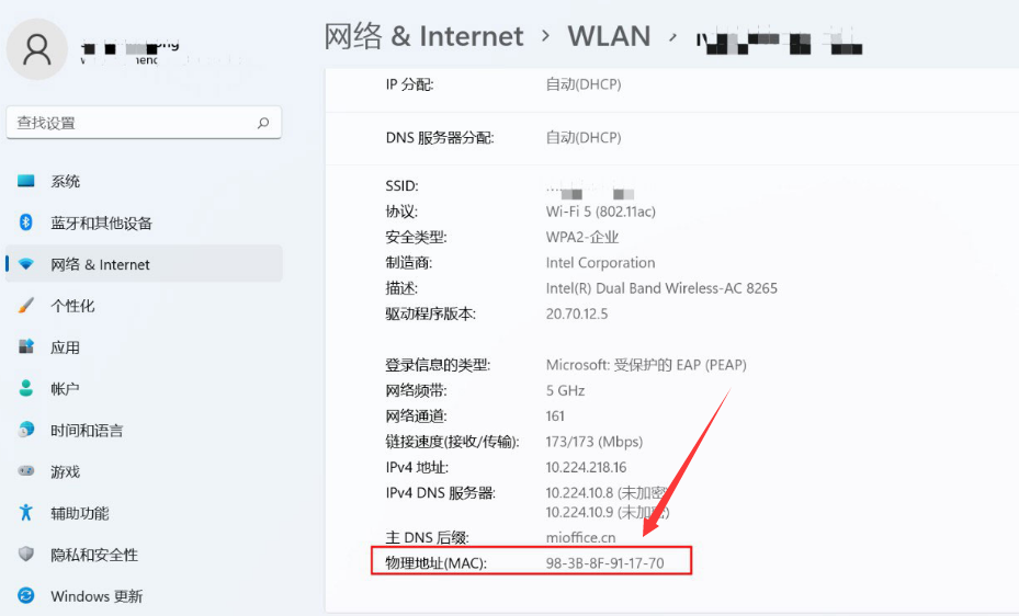 Windows11查找網絡mac地址步驟介紹