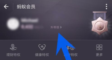 支付寶如何查看螞蟻會員積分？螞蟻會員積分查看步驟介紹