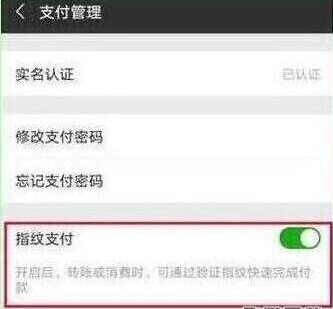 榮耀20手機(jī)微信指紋支付如何設(shè)置?微信指紋支付設(shè)置方法分享