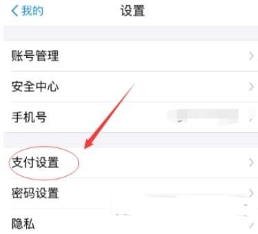 支付寶如何設置高德地圖免密支付?設置免密支付的方法說明