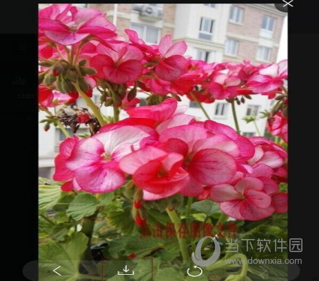 微信網(wǎng)頁版如何把手機圖片傳輸?shù)诫娔X上 傳輸方法分享