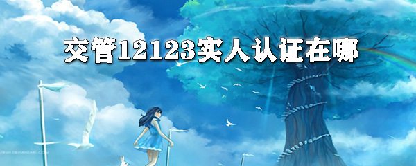 交交管12123怎么實人認證？交管12123實人認證方法分享