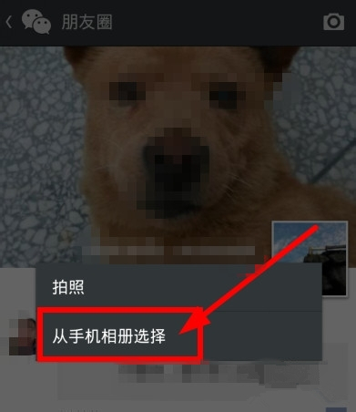 微信朋友圈如何轉發(fā)？朋友圈內(nèi)容轉發(fā)方法介紹