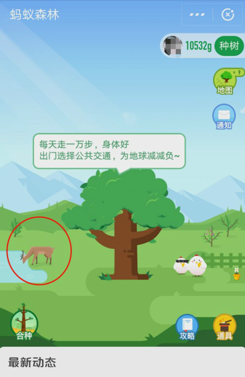 怎么在螞蟻森林首頁有小鹿？小鹿獲取攻略分享