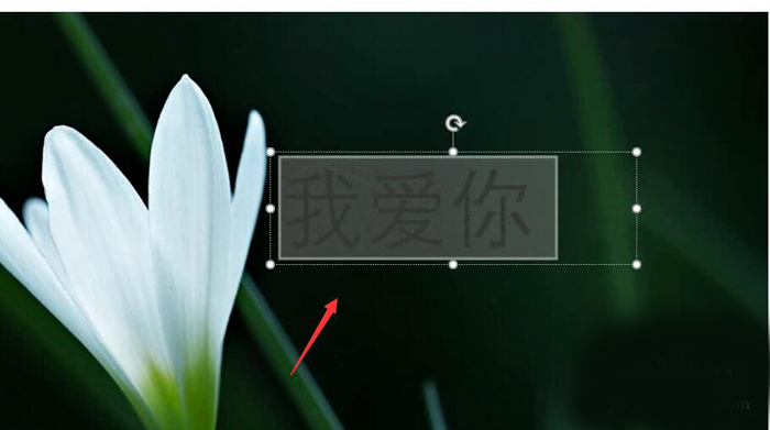 使用PPT制作出動態(tài)文字的具體操作流程
