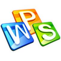 wps中方框內(nèi)打勾詳細(xì)操作流程