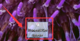 windows7系統(tǒng)中安裝itunes詳細(xì)操作步驟