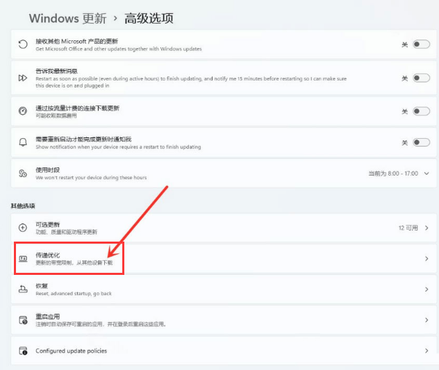 Windows11打開(kāi)傳遞優(yōu)化功能教程分享