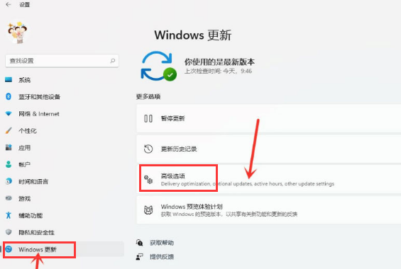 Windows11打開(kāi)傳遞優(yōu)化功能教程分享