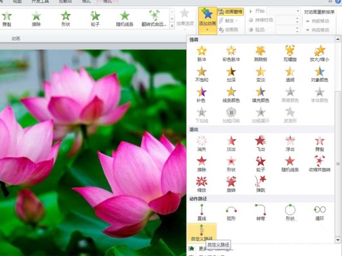 ppt制作出小荷才露尖尖角動(dòng)畫場(chǎng)景的具體操作步驟