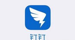 釘釘設(shè)置密聊操作流程