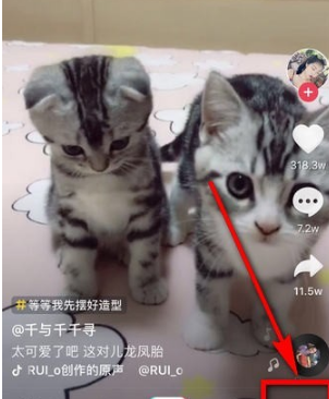 抖音動態(tài)封面設(shè)置方法介紹 抖音動態(tài)封面如何設(shè)置