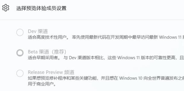 win11體驗(yàn)成員設(shè)置教程