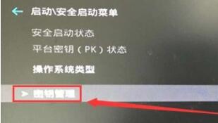 升級(jí)win11提示必須支持安全啟動(dòng)解決教程