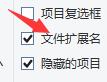 win11顯示文件屬性后綴的方法