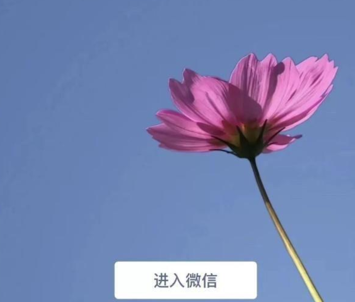 微信7.0后悔更新了如何恢復？微信7.0后悔更新后恢復方法教程解答！
