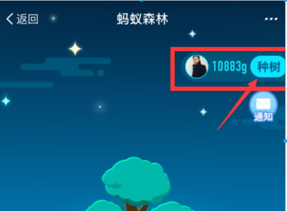 支付寶螞蟻森林環(huán)保證書如何領(lǐng)取？螞蟻森林環(huán)保證書領(lǐng)取攻略介紹！