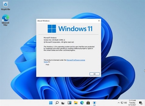 win11右下角消息欄關(guān)閉方法