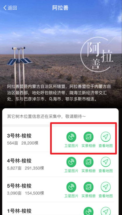 螞蟻森林種的樹(shù)實(shí)際在哪里 支付寶螞蟻森林種樹(shù)實(shí)景圖如何看
