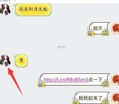 QQ頭像變成狗怎么辦 QQ點(diǎn)開鏈接變成狗頭像解決辦法