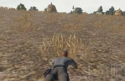 win 10絕地求生跳傘卡頓怎么辦？是配置問題嗎？