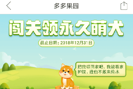 拼多多果園如何養(yǎng)狗？ 果園養(yǎng)狗方法攻略介紹！