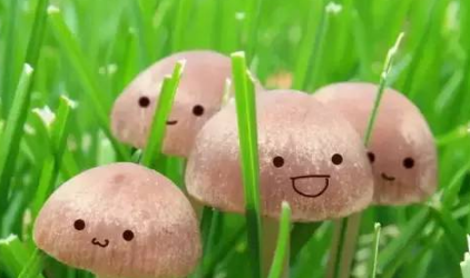 微信微粒貸怎么開通？小編教你玩轉微粒貸！