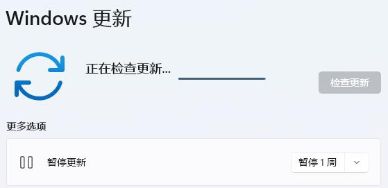 win11內(nèi)核出現(xiàn)問題詳細解決方法