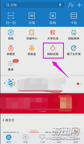 螞蟻莊園怎么揍偷吃的小雞？支付寶螞蟻莊園胖揍功能詳解