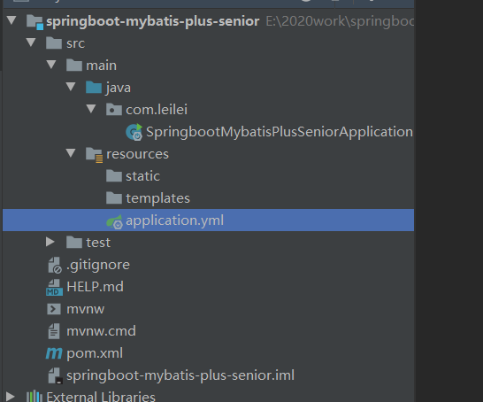 springboot2.3 整合mybatis-plus 高級(jí)功能(圖文詳解)