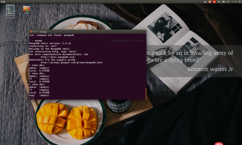 node.js - 如何在webstorm中啟動并連接mongodb數據庫呢？