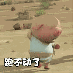 抖音小豬跑步跑步動(dòng)態(tài)表情包分享【高清無水印】