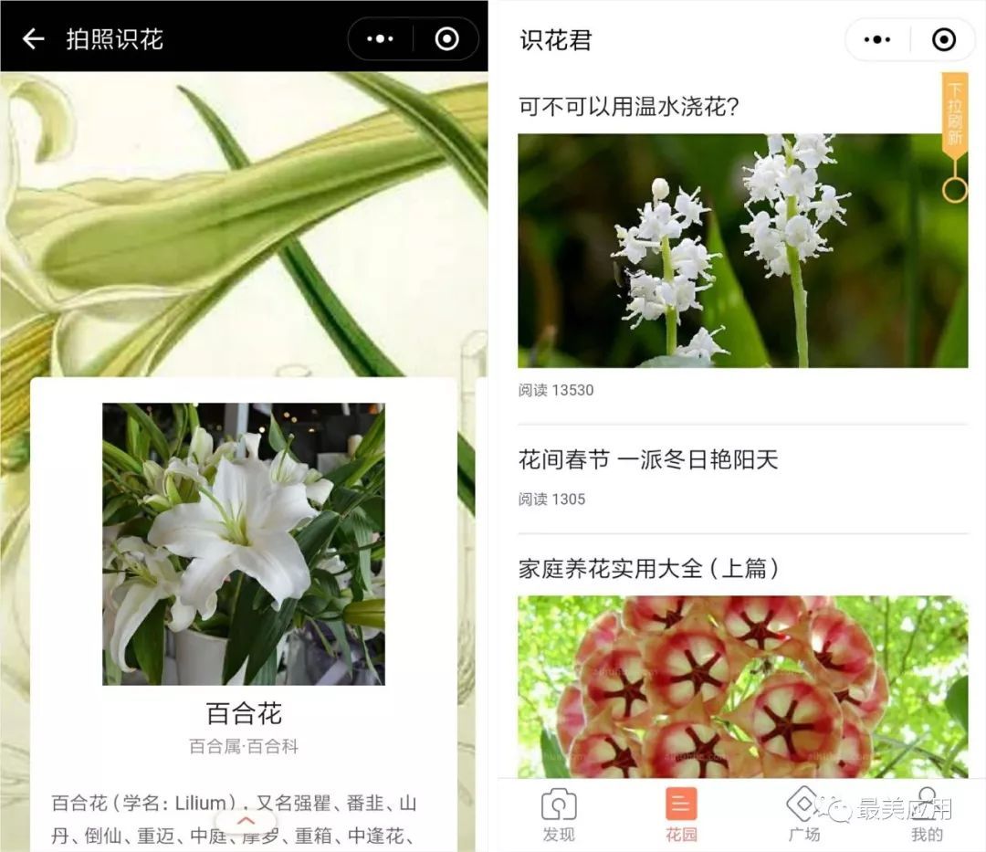 微信有什么實用的小程序？使用程序推薦