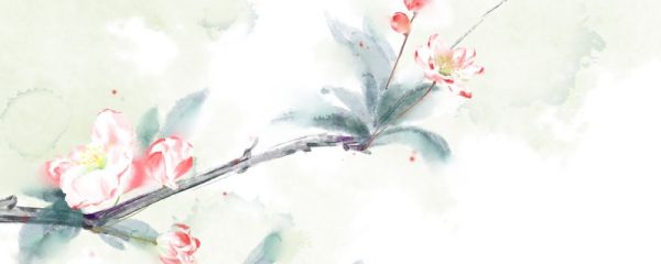比較有寓意的微信號(hào) 比較有寓意的微信號(hào)推薦
