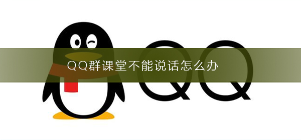 QQ群課堂不能說(shuō)話怎么辦