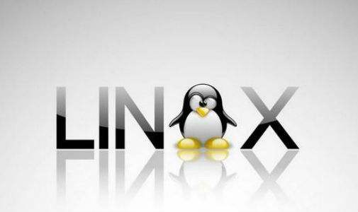 Linux是什么？它是哪個(gè)國(guó)家開(kāi)發(fā)的