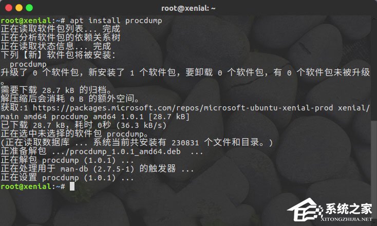Linux系統如何安裝使用ProcDump for Linux？