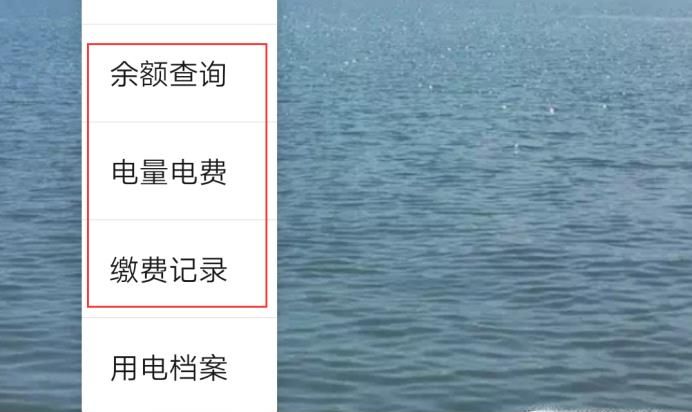 每日每月電費明細怎查詢,微信怎么查每天用電量
