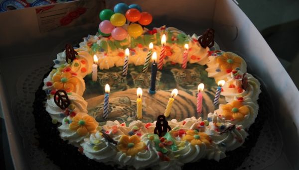 抖音很火的生日短句 有哪些簡(jiǎn)短的抖音生日句子