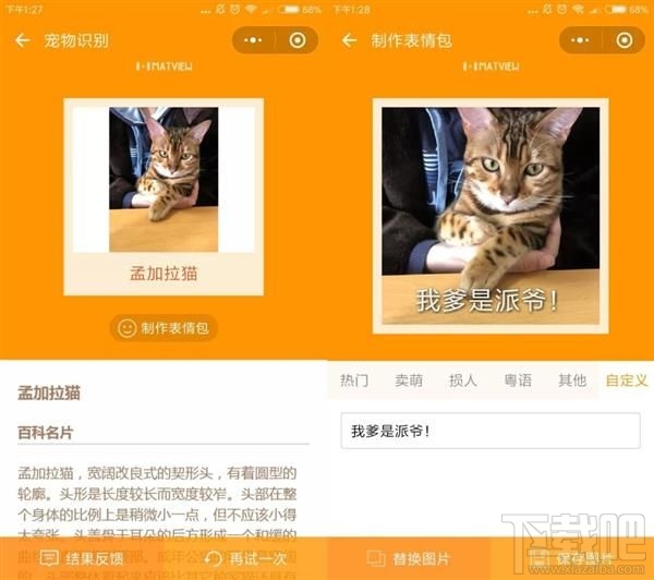 吸貓微信小程序推薦，人貓交流器讓你家寵物更軟萌可愛