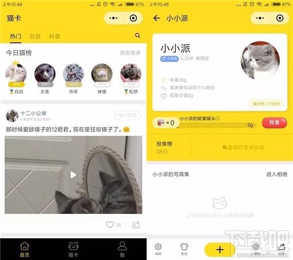 吸貓微信小程序推薦，人貓交流器讓你家寵物更軟萌可愛