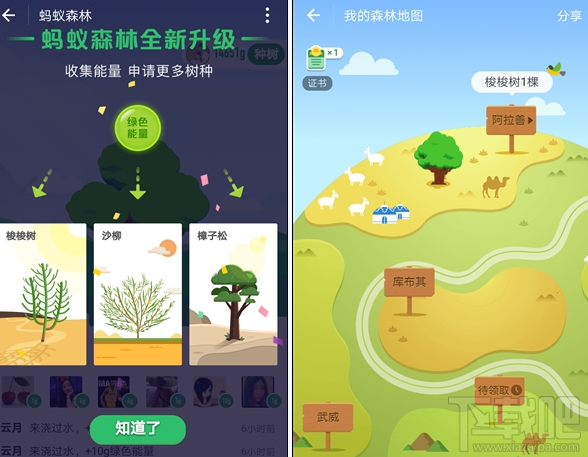 支付寶螞蟻森林新增沙柳/樟子松需要多少能量?