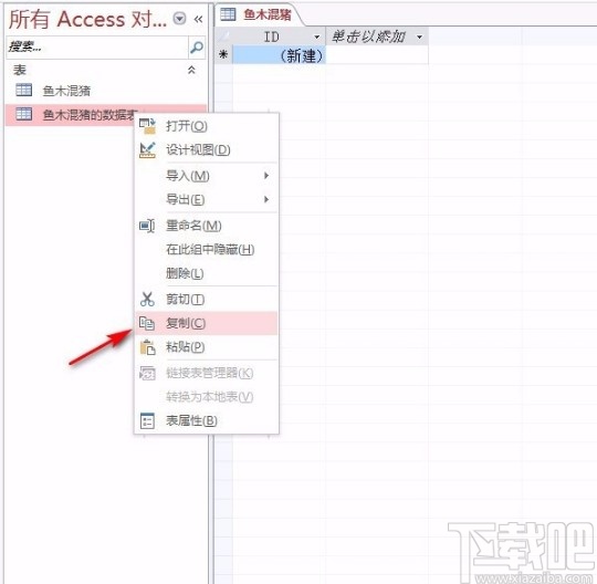 Microsoft Office Access復(fù)制數(shù)據(jù)表的方法