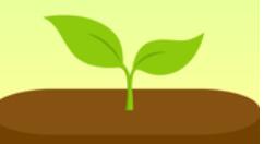 forest如何更改標(biāo)簽？更改標(biāo)簽的步驟分享
