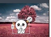 連我相機怎么使用?連我相機使用方法說明