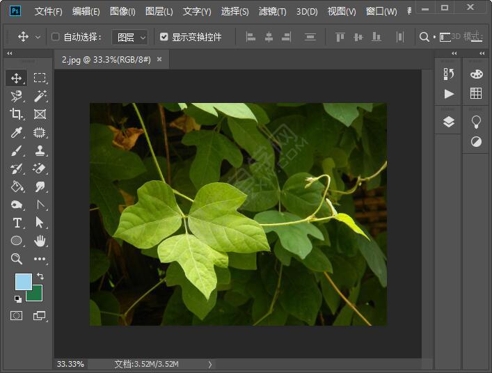 如何ps把圖片調(diào)成想要的尺寸