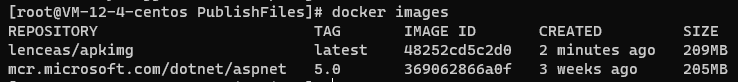 Linux系統(tǒng)Docker 部署 ASP.NET Core應(yīng)用的流程分析