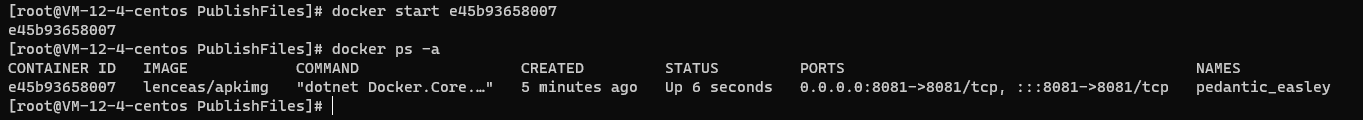 Linux系統(tǒng)Docker 部署 ASP.NET Core應(yīng)用的流程分析