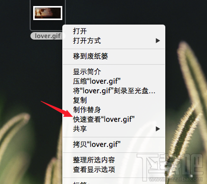 Mac怎么查看gif圖片？Mac系統怎么查看gif圖片？